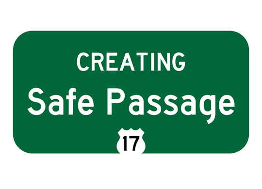 Creating Safe Passage logo image