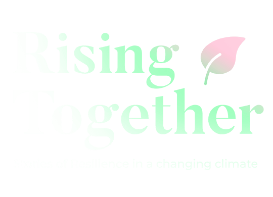 Rising Together logo image