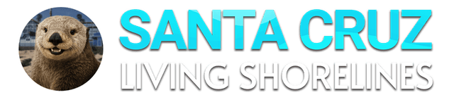 Santa Cruz logo image